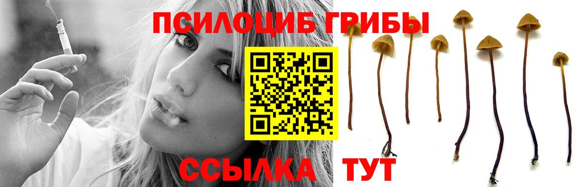 Галлюциногенные грибы MAGIC MUSHROOMS Саяногорск